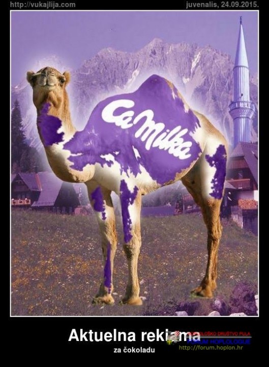 nova milka.jpg