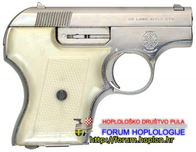 400px-S&W61EscortNickel.jpg