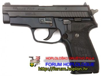 350px-SIGP229.jpg