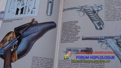 007.JPG