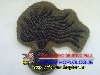 Italy - Carabinieri - for beret.jpg