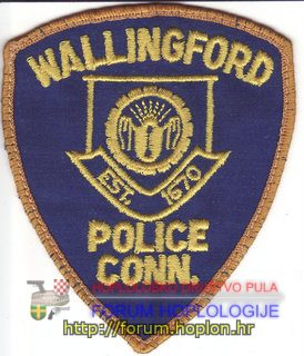 Wallingford Police.jpg