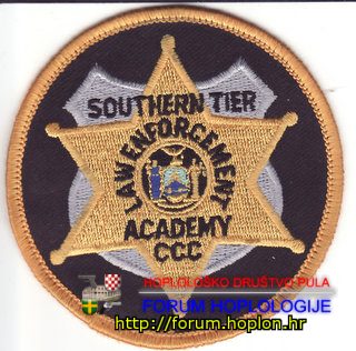 Southern Tier LEA.jpg