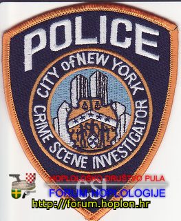 New York PD CSI.jpg