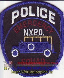 New York PD ES.jpg