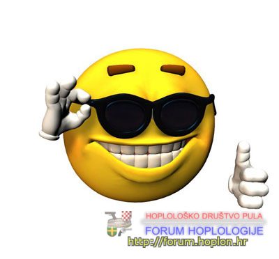coolsmileyjazzy1.jpg
