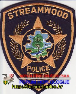 Streamwood Police.jpg