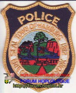 Town of Hamburg Police, EC NY.jpg