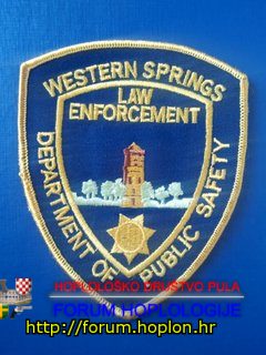 Western Spring DPS, IL.jpg