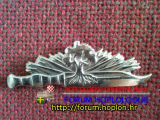 Pin - Israel - Golani Brigade1.jpg