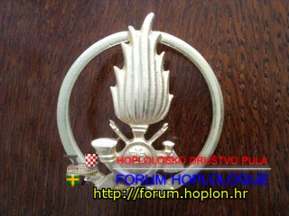 Italy - Guardia di Fananza - badge for beret of special antiterrorist unit Baschi Verdi.jpg
