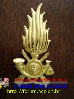 Italy - Guardia di Fananza - badge for vizor hat.jpg