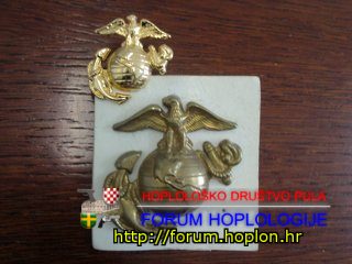 USMC - hat badge & collar pin.jpg