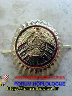 Belarus -  badge for wedge cap, current style.jpg