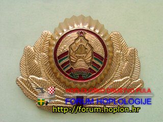 Belarus - hat badge 2012 (1).jpg