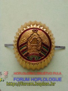 Belarus - hat badge 2012 (2).jpg