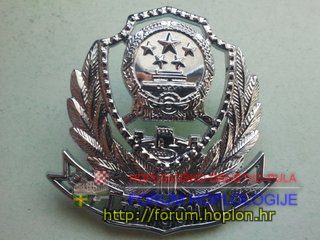 China Police - new type.jpg