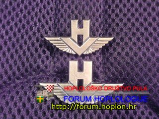 Croatian Air Forces - collar pins.jpg