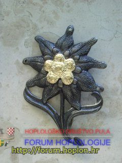 German Army - beret badge of the alpine unit.jpg
