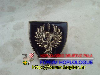 Pin - Serbian Army - unit for special operations.jpg
