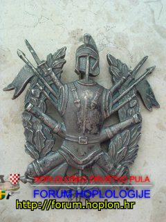 Italy - badge for the black beret of the italian army units.jpg