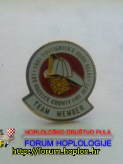 Pin - LA Co FD - team member.jpg