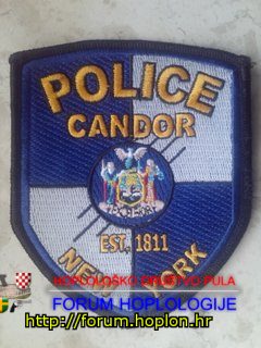Candor Police, NY.jpg