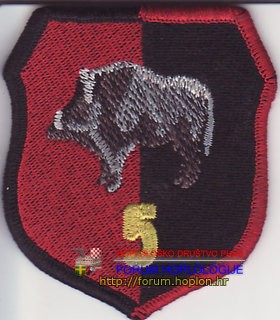 Poland - 5 - units of special purpose.jpg