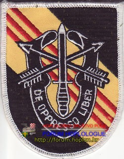 United States Army Special Forces.jpg