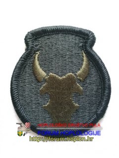 34th Infantry Division Red Bull.jpg