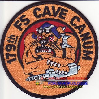 USAF - 179th FS CAVE CANUM.jpg