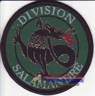 French and German - Division Salamandre.jpg