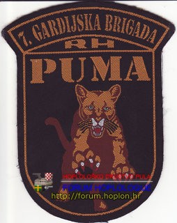 7. gbr Puma.jpg