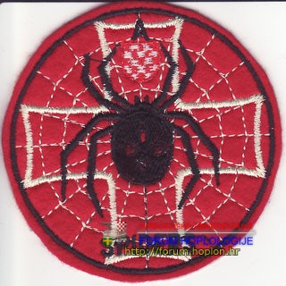 111.br A Spiders.jpg