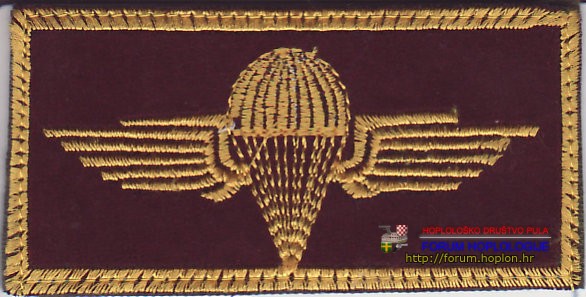 Iraqi Kurdistan - Parachute chest patch.jpg