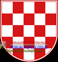 Croatia_Historic_Coat_of_Arms_first_white_square.svg_1.png