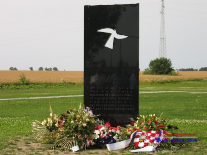 VUKOVAR - 10 godina poslije mirne reintegracije 112.jpg