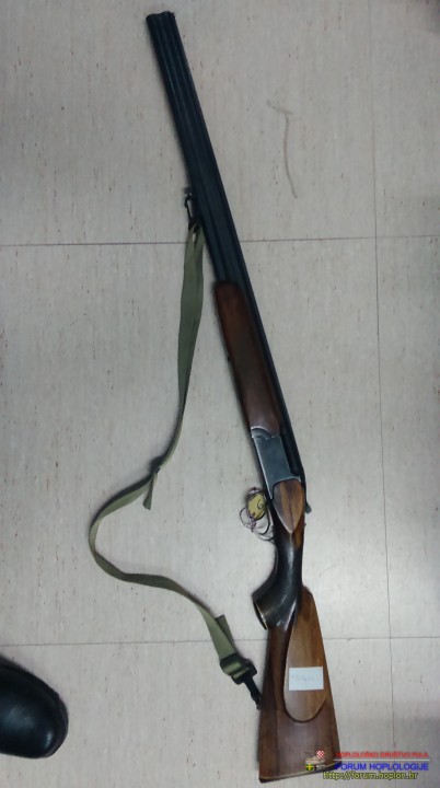 IMAG0122.jpg