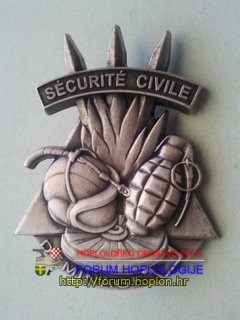 France - SC D - chest badge.jpg