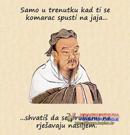komarac.jpg