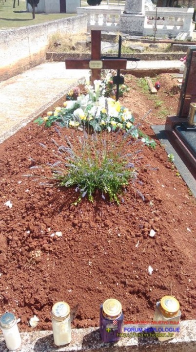 IMAG0344.jpg