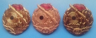Former DDR - shooter badge (1).jpg