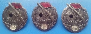 Former DDR - shooter badge (2).jpg
