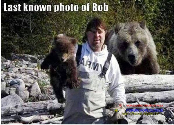 bob.JPG