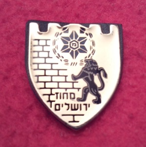 Israel - pin - for serve in Jerusalem.jpg