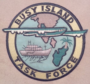 Busy Island Task Force.jpg