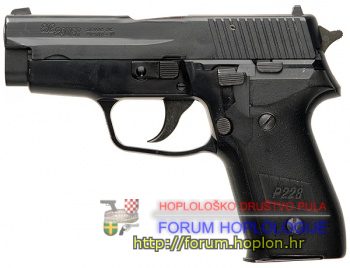350px-Sig-Sauer-P228.jpg