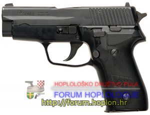 300px-Sig-Sauer-P228.jpg