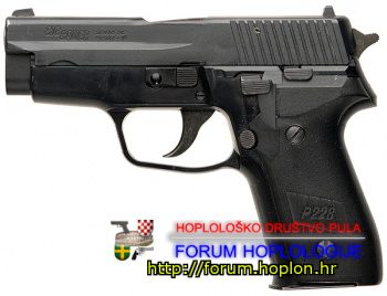 350px-Sig-Sauer-P228.jpg