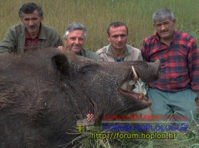 veprić 2.jpg